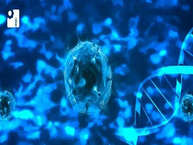 江苏疾控中心首次鉴定一种新型环状单链DNA病毒