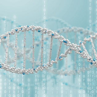 基因组测序解决方案 